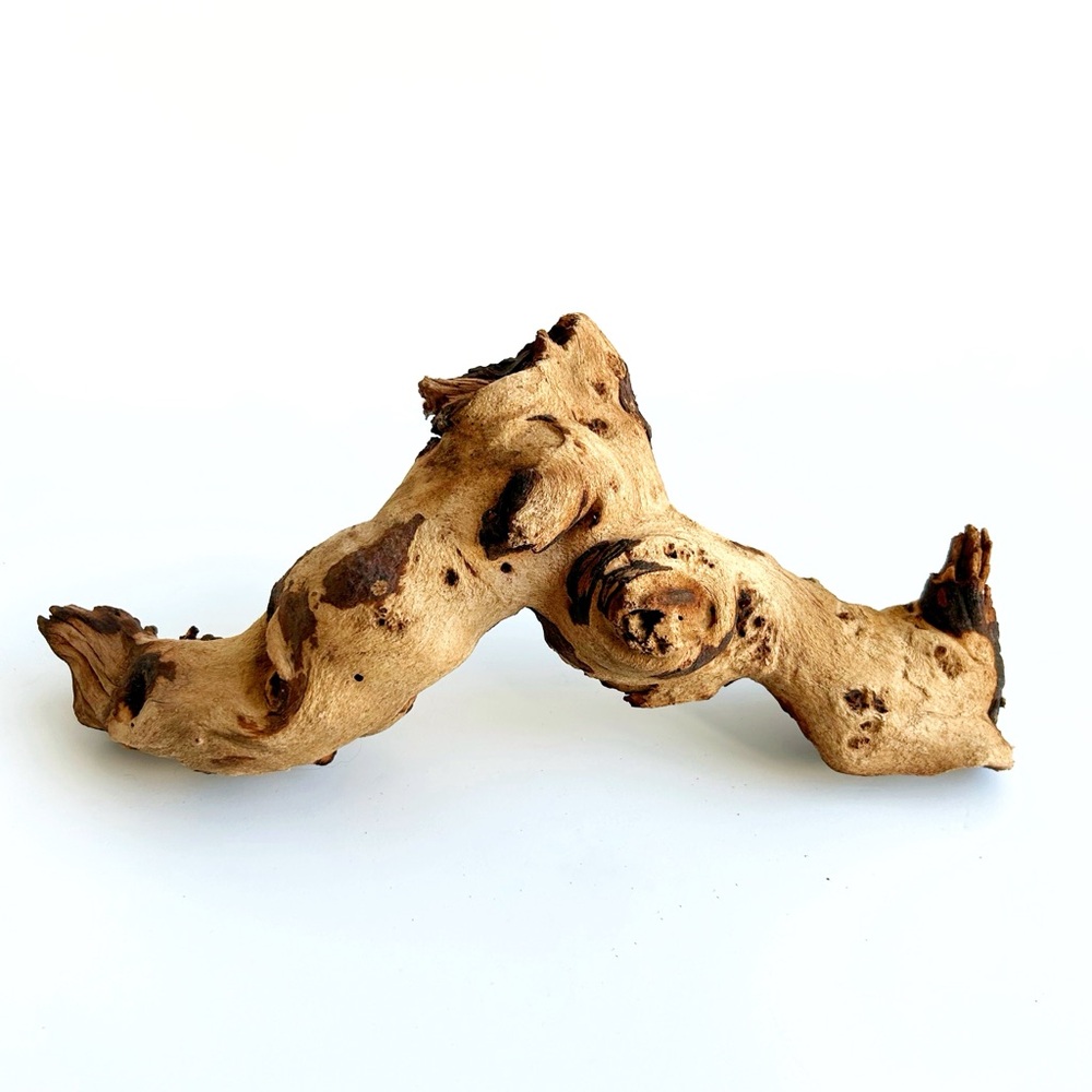 Anthropologie Terrain Driftwood Plant Stand - Picture 2 of 3